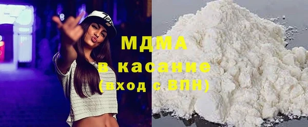 молекула духа Вяземский